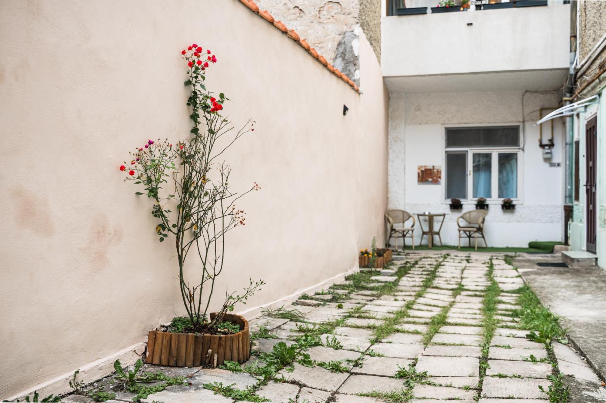 Lara'S Loft Apartment Brasov Bagian luar foto